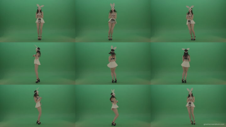 Rotating-jumping-rabbit-dancing-go-go-Girl-over-Green-Screen-1920 Green Screen Stock
