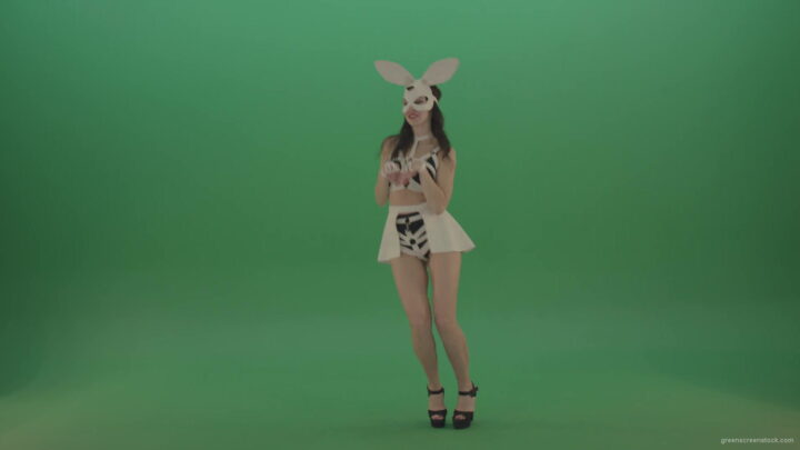 vj video background Rotating-jumping-rabbit-dancing-go-go-Girl-over-Green-Screen-1920_003