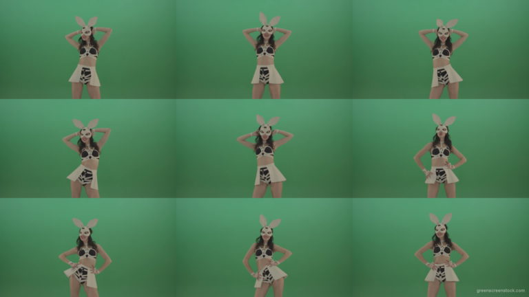 White-Rabbit-Girl-sexy-posing-dancing-in-bunny-style-over-Green-Screen-1920 Green Screen Stock