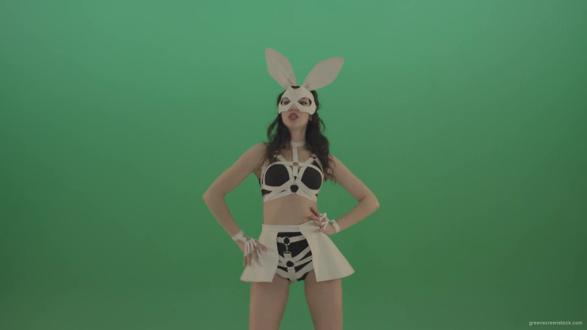 White-Rabbit-Girl-sexy-posing-dancing-in-bunny-style-over-Green-Screen-1920_006 Green Screen Stock