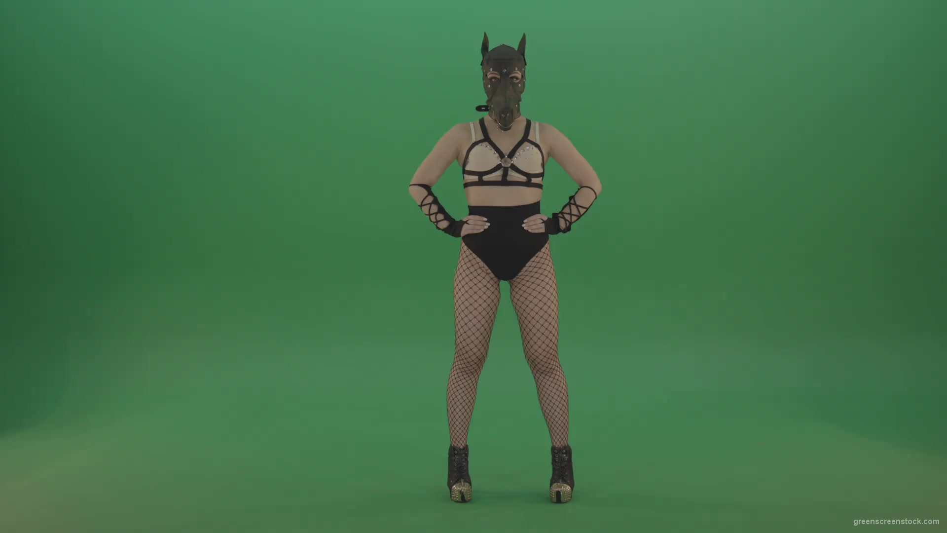 Girl-in-wolf-fetish-mask-sit-down-and-stand-up-making-hand-beat-on-green-screen-1920_001 Green Screen Stock
