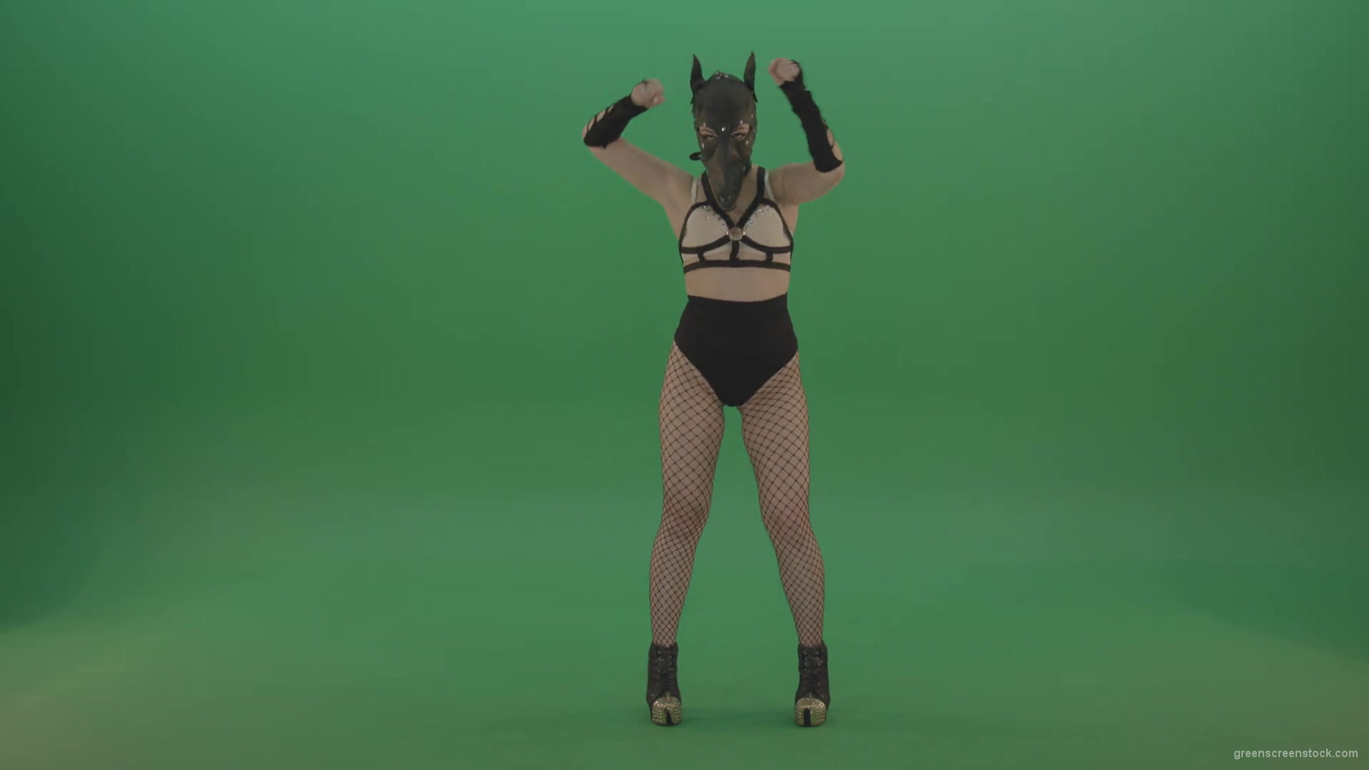Girl-in-wolf-fetish-mask-sit-down-and-stand-up-making-hand-beat-on-green-screen-1920_002 Green Screen Stock