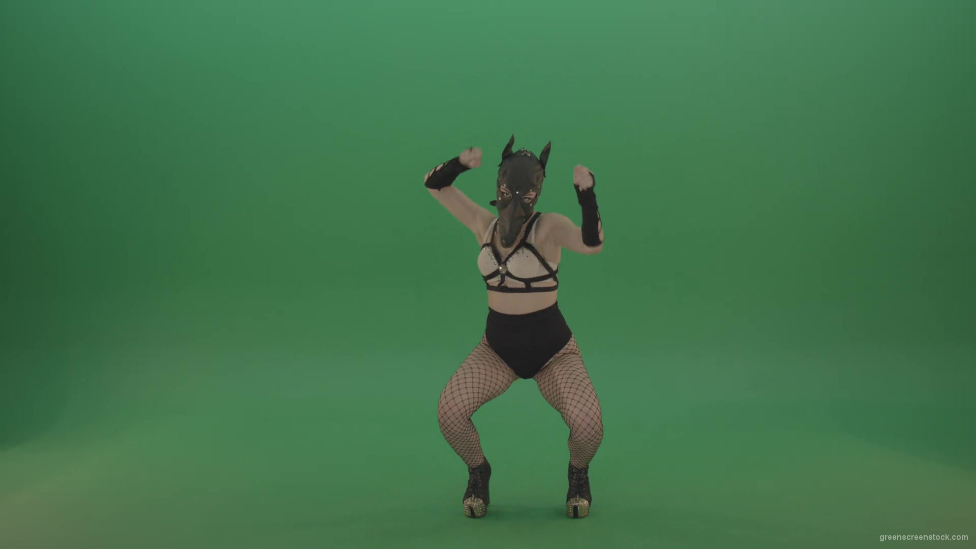 vj video background Girl-in-wolf-fetish-mask-sit-down-and-stand-up-making-hand-beat-on-green-screen-1920_003
