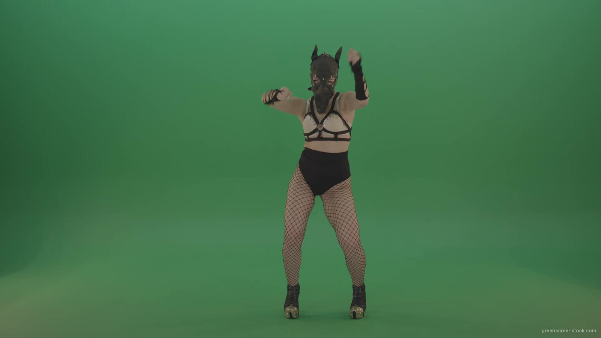 Girl-in-wolf-fetish-mask-sit-down-and-stand-up-making-hand-beat-on-green-screen-1920_004 Green Screen Stock
