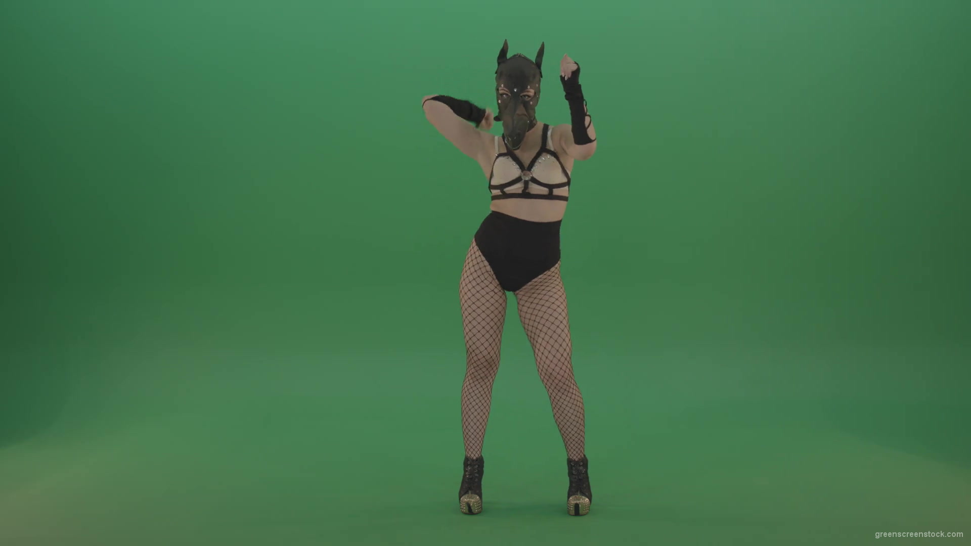 Girl-in-wolf-fetish-mask-sit-down-and-stand-up-making-hand-beat-on-green-screen-1920_009 Green Screen Stock
