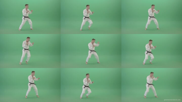 Jujutsu-Man-trianing-to-fight-combat-isolated-on-green-screen-1920 Green Screen Stock