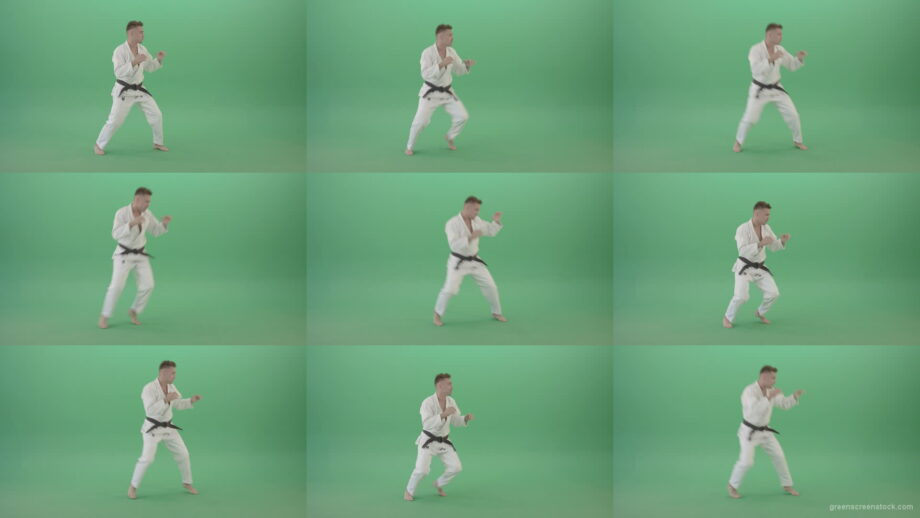 Jujutsu-Man-trianing-to-fight-combat-isolated-on-green-screen-1920 Green Screen Stock