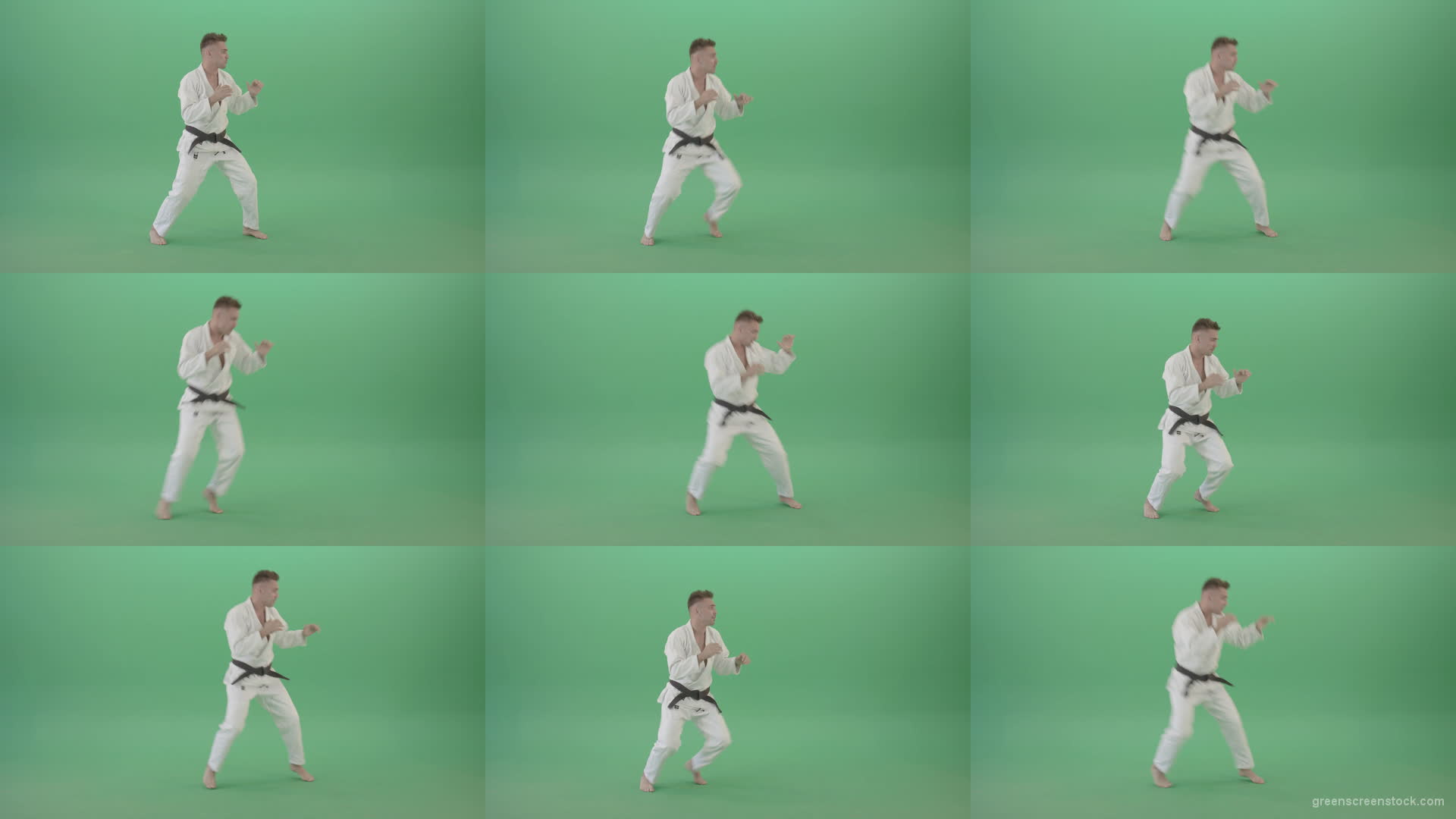 Jujutsu-Man-trianing-to-fight-combat-isolated-on-green-screen-1920 Green Screen Stock