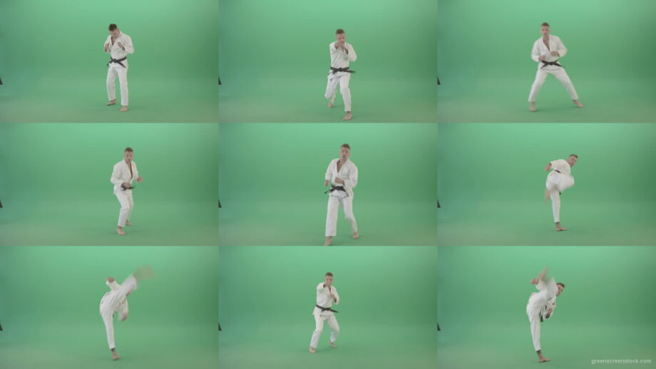 Jujutsu-Sportman-make-front-kick-and-punch-isolated-on-green-screen-4K-Video-Footage-1920 Green Screen Stock