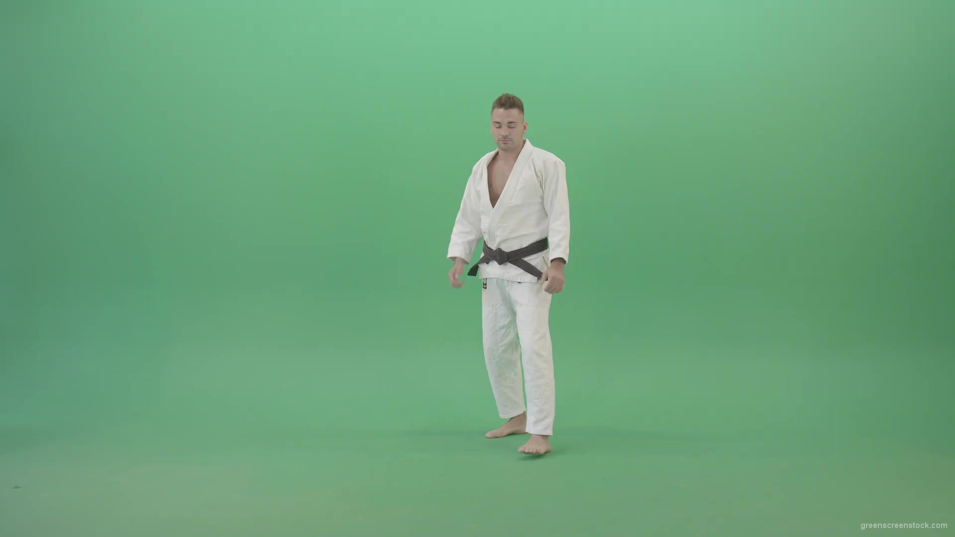 Karate-man-fight-front-vie-kick-punch-isolated-on-green-screen-4K-Video-Footage-1920_001 Green Screen Stock