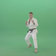 vj video background Karate-man-fight-front-vie-kick-punch-isolated-on-green-screen-4K-Video-Footage-1920_003