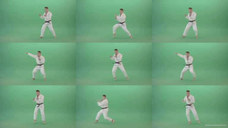 Karate-man-fighting-with-shadow-on-side-view-isolated-on-green-screen-4K-Video-Footage-1920 Green Screen Stock