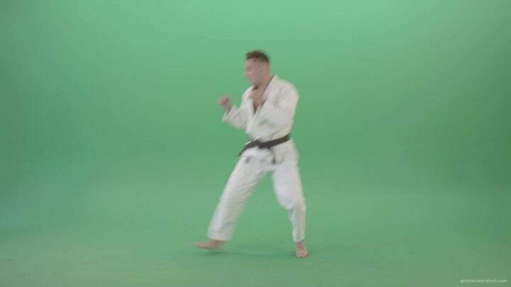 vj video background Karate-man-fighting-with-shadow-on-side-view-isolated-on-green-screen-4K-Video-Footage-1920_003