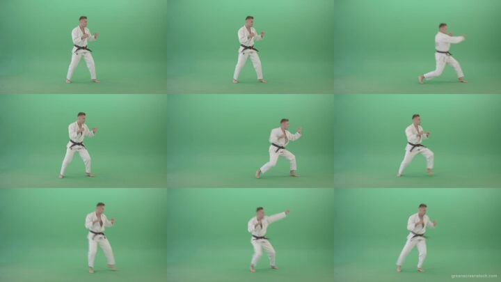 Kick-Fight-Karate-Man-isolated-on-Green-Screen-Side-view-4K-Video-Footage-1920 Green Screen Stock