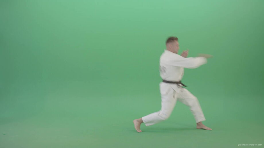 vj video background Kick-Fight-Karate-Man-isolated-on-Green-Screen-Side-view-4K-Video-Footage-1920_003