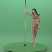 Glamor-girl-in-leopard-underwear-dancing-on-pilon-Pole-dance-and-spinning-isolated-on-Green-Screen-Video-Footage-1920_002 Green Screen Stock
