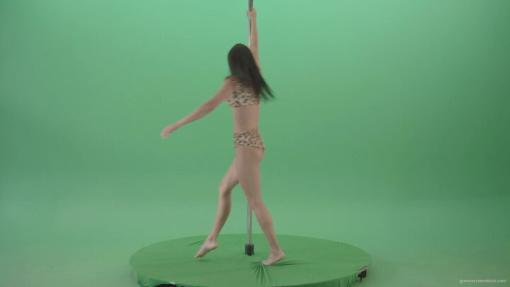 vj video background Glamor-girl-in-leopard-underwear-dancing-on-pilon-Pole-dance-and-spinning-isolated-on-Green-Screen-Video-Footage-1920_003