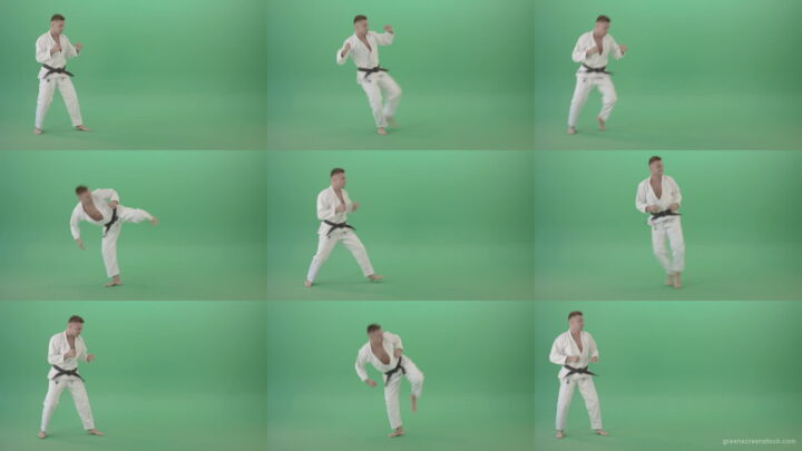 Ju-jutsu-young-man-training-slowly-karate-isolated-on-green-screen-4K-Video-Footage-1920 Green Screen Stock