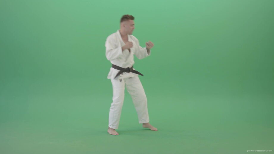 vj video background Jujutsu-Sportman-training-isolated-on-green-screen-4K-Video-Footage-1920_003