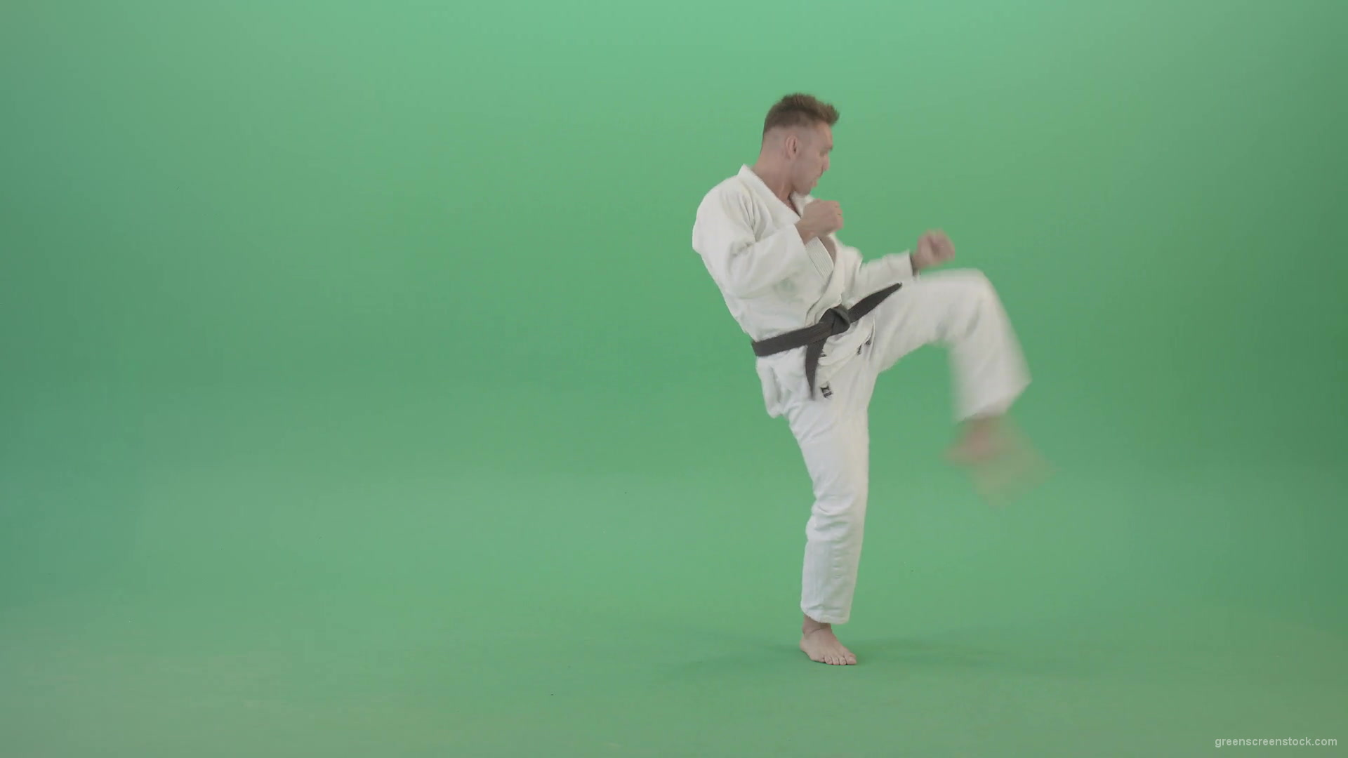 Jujutsu-Sportman-training-isolated-on-green-screen-4K-Video-Footage-1920_004 Green Screen Stock