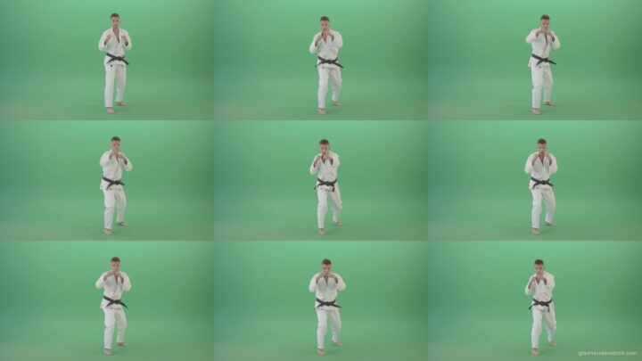 Karate-Man-boxing-making-punch-front-view-isolated-on-green-screen-1920 Green Screen Stock