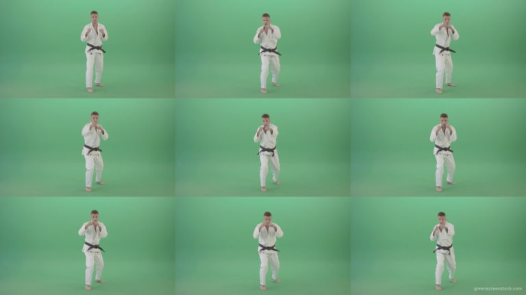 Karate-Man-boxing-making-punch-front-view-isolated-on-green-screen-1920 Green Screen Stock