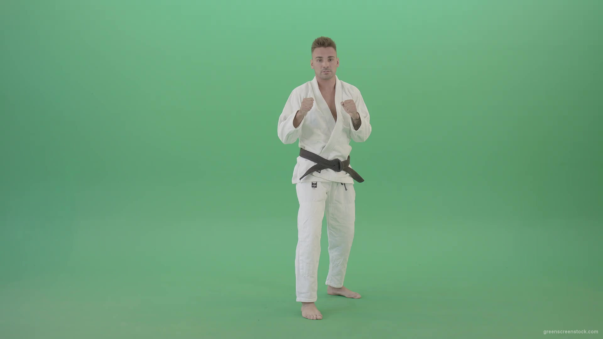 Karate-Man-boxing-making-punch-front-view-isolated-on-green-screen-1920_001 Green Screen Stock