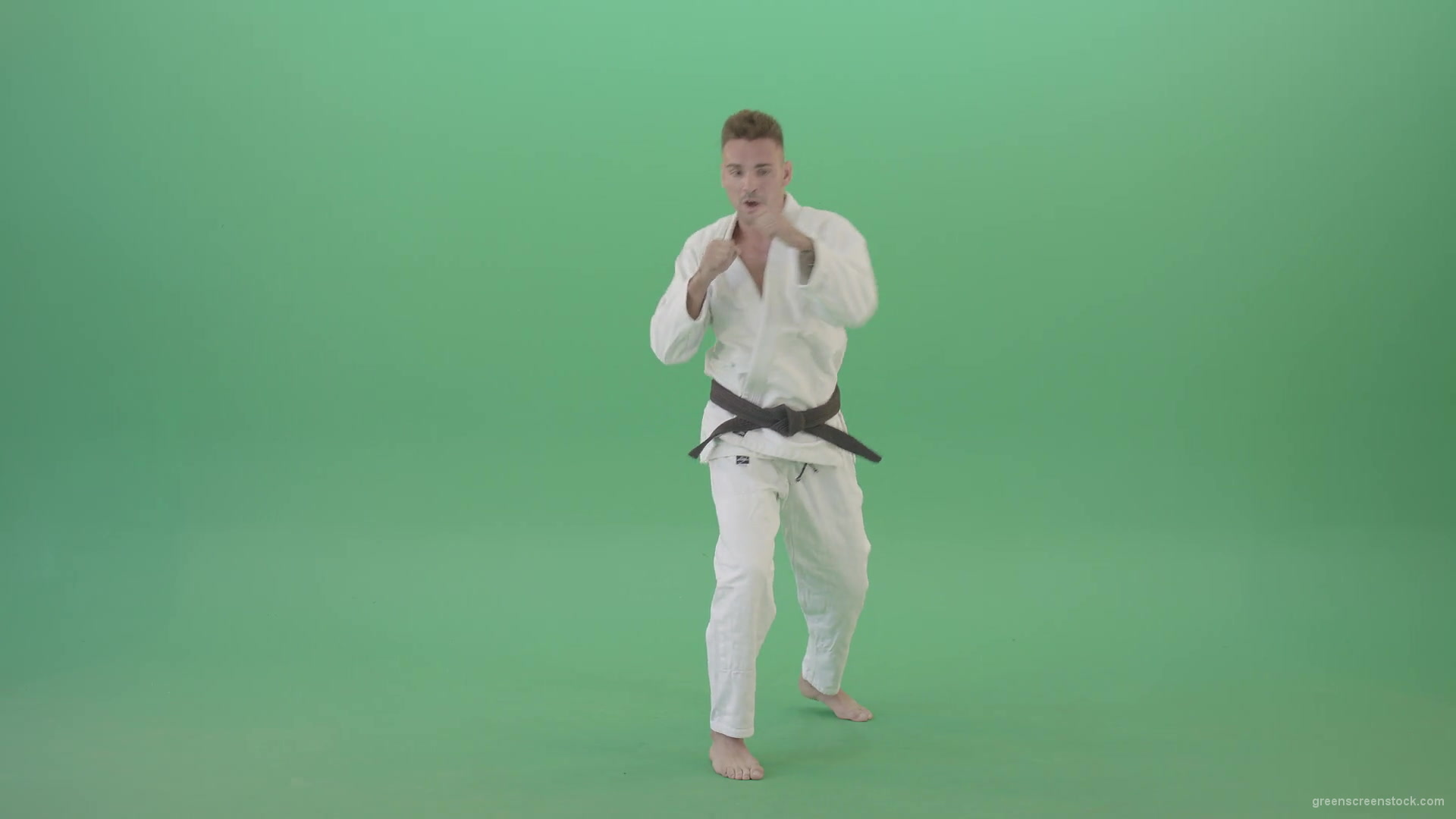 Karate-Man-boxing-making-punch-front-view-isolated-on-green-screen-1920_002 Green Screen Stock