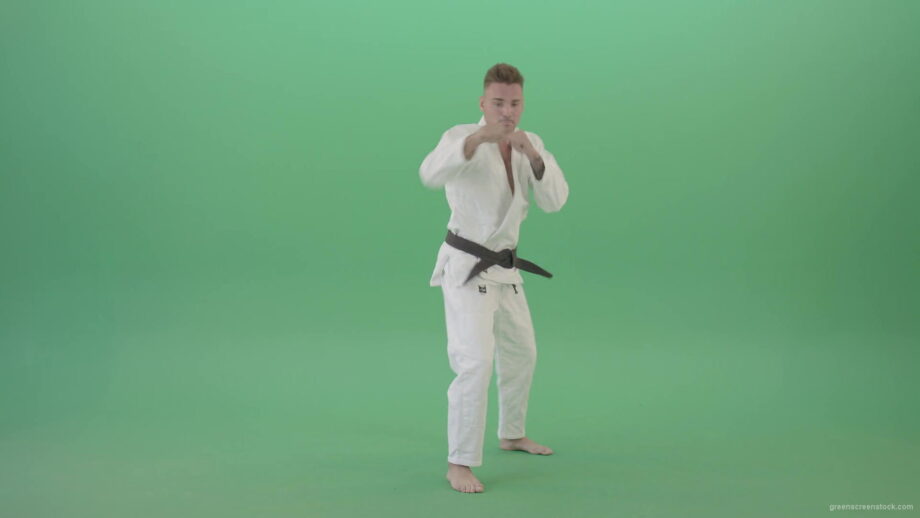 vj video background Karate-Man-boxing-making-punch-front-view-isolated-on-green-screen-1920_003