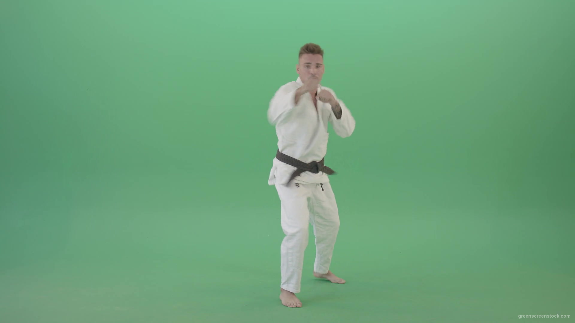 Karate-Man-boxing-making-punch-front-view-isolated-on-green-screen-1920_004 Green Screen Stock