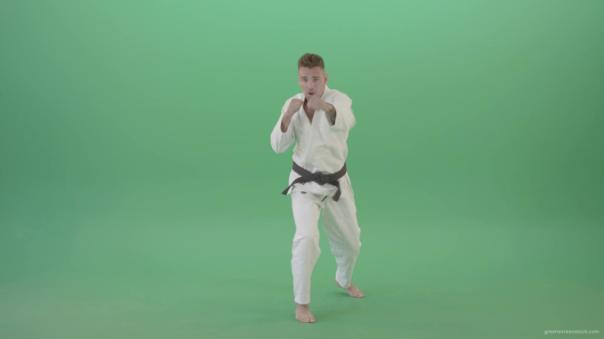 Karate-Man-boxing-making-punch-front-view-isolated-on-green-screen-1920_005 Green Screen Stock