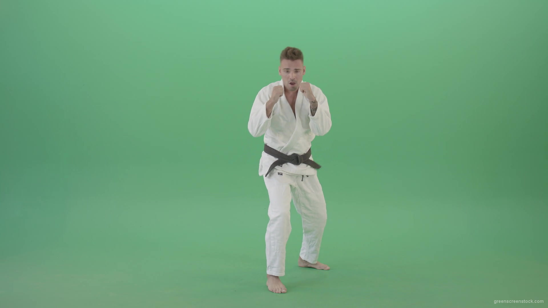 Karate-Man-boxing-making-punch-front-view-isolated-on-green-screen-1920_006 Green Screen Stock