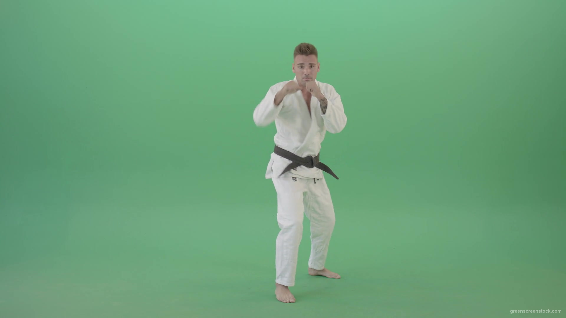Karate-Man-boxing-making-punch-front-view-isolated-on-green-screen-1920_007 Green Screen Stock