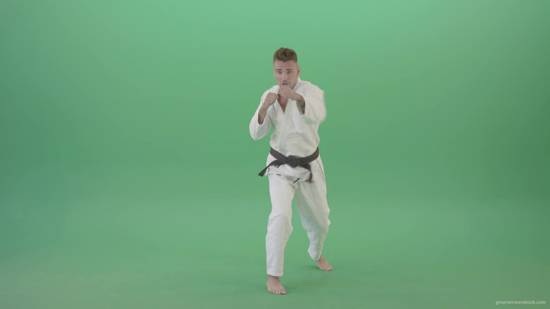 Karate-Man-boxing-making-punch-front-view-isolated-on-green-screen-1920_009 Green Screen Stock