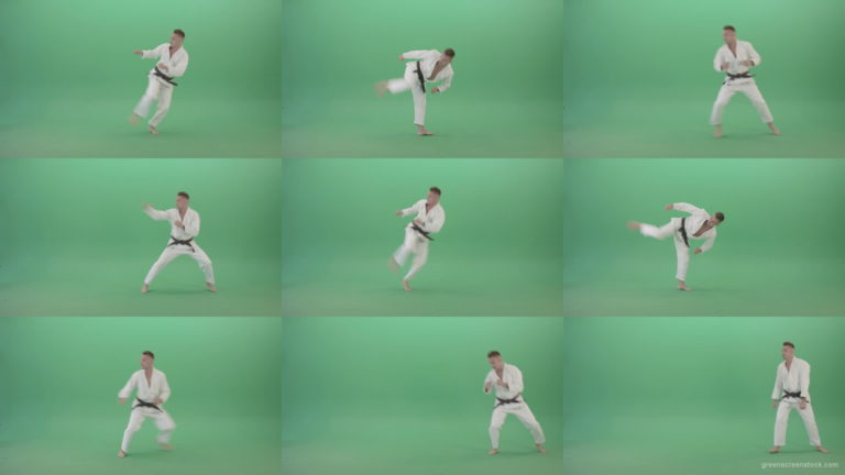 Mortal-Kombat-by-Karate-Ju-Jutsu-trainer-sportsman-isolated-on-green-screen-4K-Video-Footage-1920 Green Screen Stock