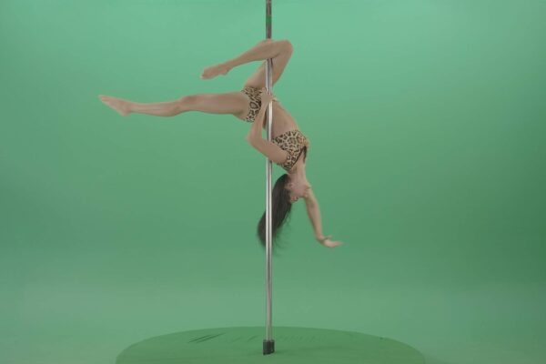 Pole-Dancing-Tiger-Woman-on-Green-Screen-Video-Footage-4K