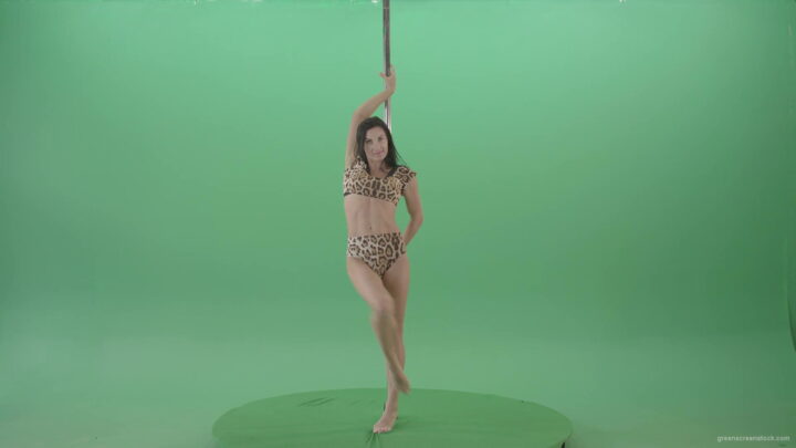 vj video background Slim-woman-spinning-in-simple-pose-dancing-pole-dance-in-animal-jaguar-skin-underwear-on-green-screen-4K-Video-Footage-1920_003