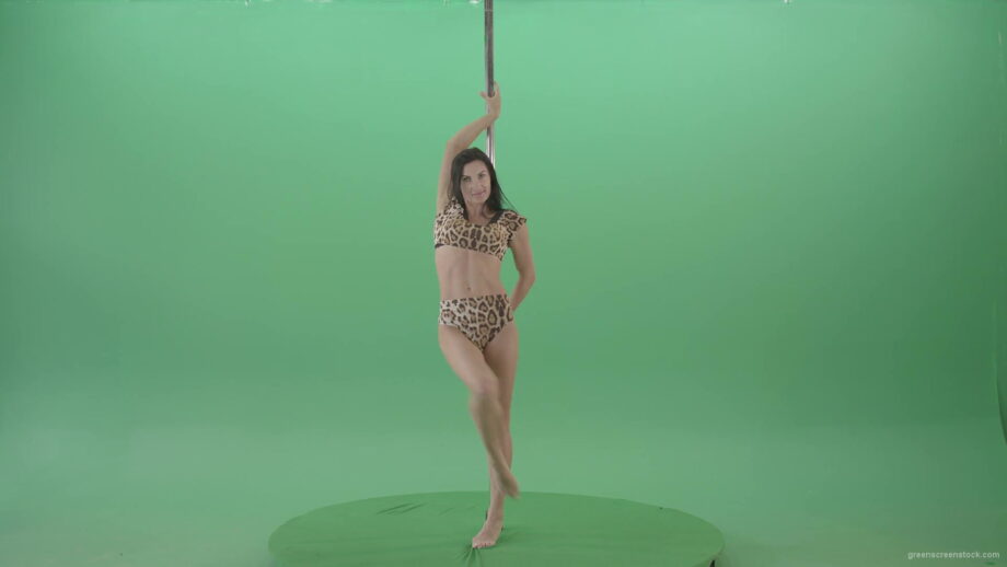 vj video background Slim-woman-spinning-in-simple-pose-dancing-pole-dance-in-animal-jaguar-skin-underwear-on-green-screen-4K-Video-Footage-1920_003