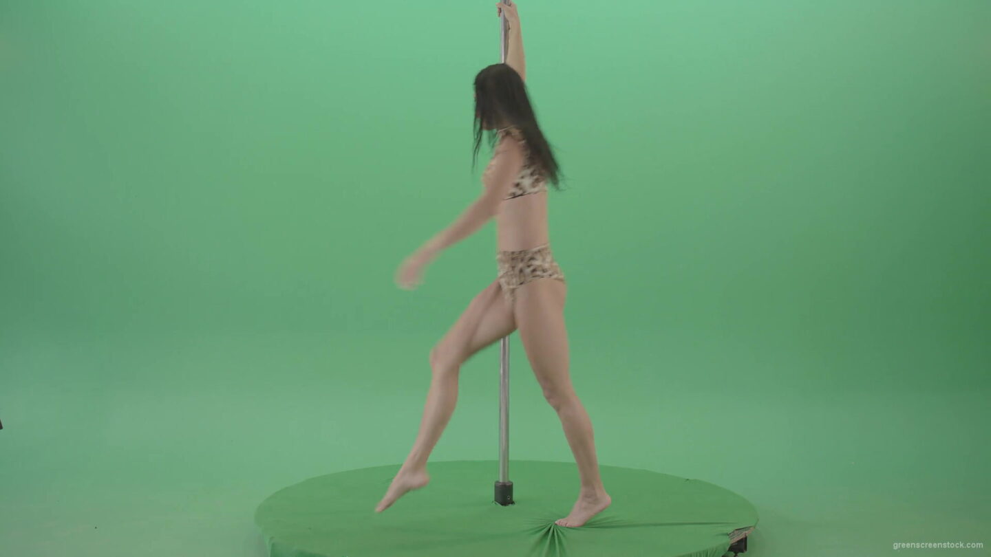 vj video background Stripteas-Girl-in-leopard-skin-wear-spinning-on-pilon-dancing-pole-isolated-on-Green-Screen-4K-Video-Footage-1920_003