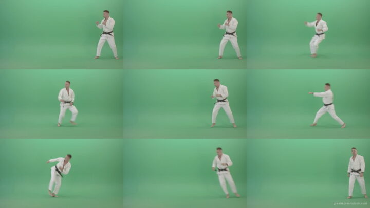 Super-Fighting-Combo-by-Jujutsu-man-in-side-view-isolated-on-green-screen-4K-Video-Footage-1920 Green Screen Stock