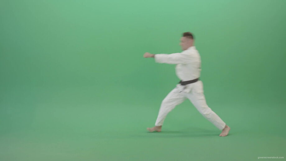 Super-Fighting-Combo-by-Jujutsu-man-in-side-view-isolated-on-green-screen-4K-Video-Footage-1920_006 Green Screen Stock
