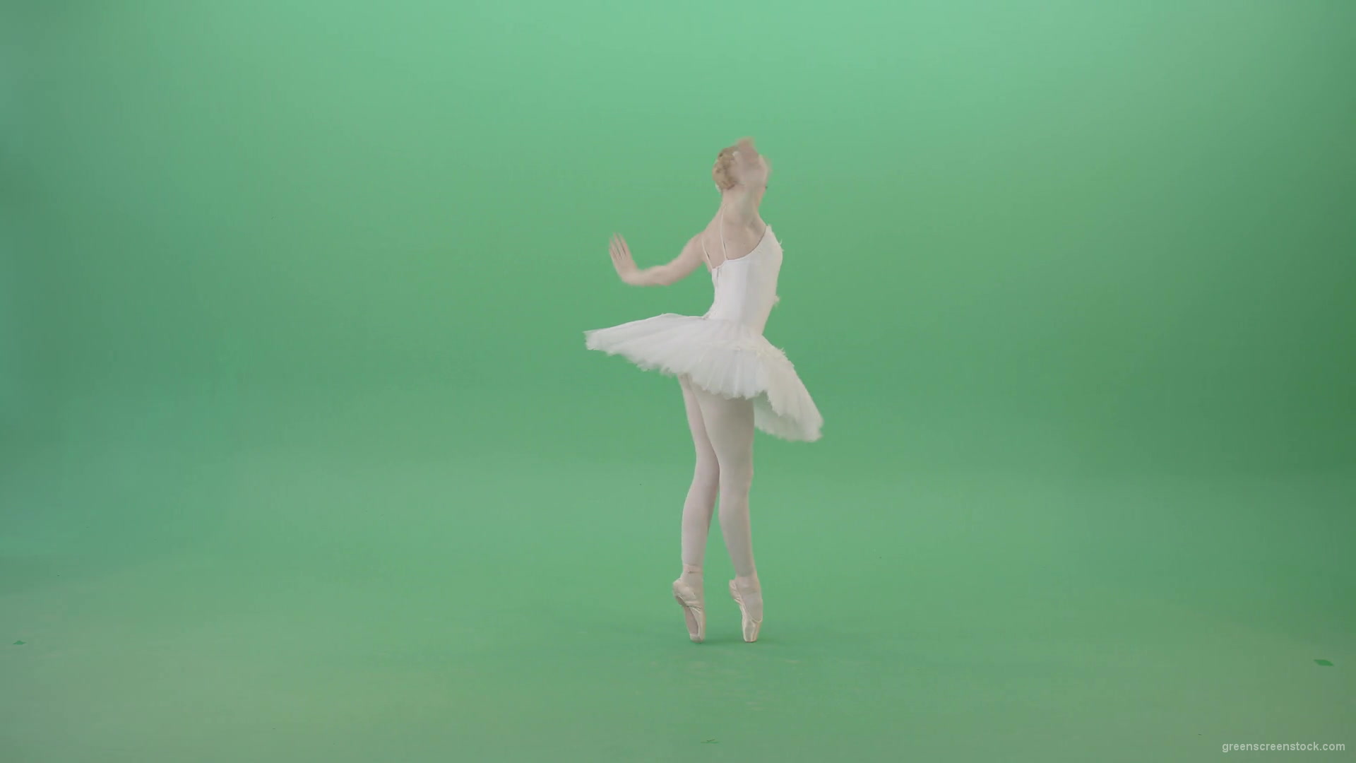 Back-side-view-ballet-dancing-tiny-girl-performs-in-green-screen-studio-4K-Video-Footage-1920_005 Green Screen Stock