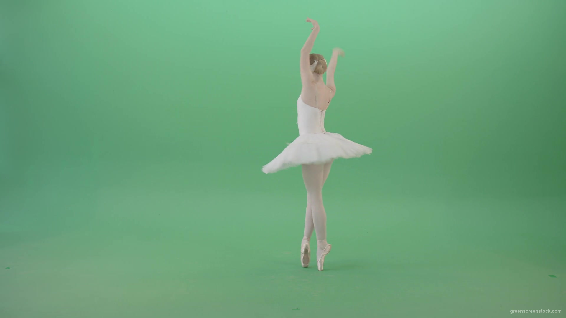 Back-side-view-ballet-dancing-tiny-girl-performs-in-green-screen-studio-4K-Video-Footage-1920_008 Green Screen Stock