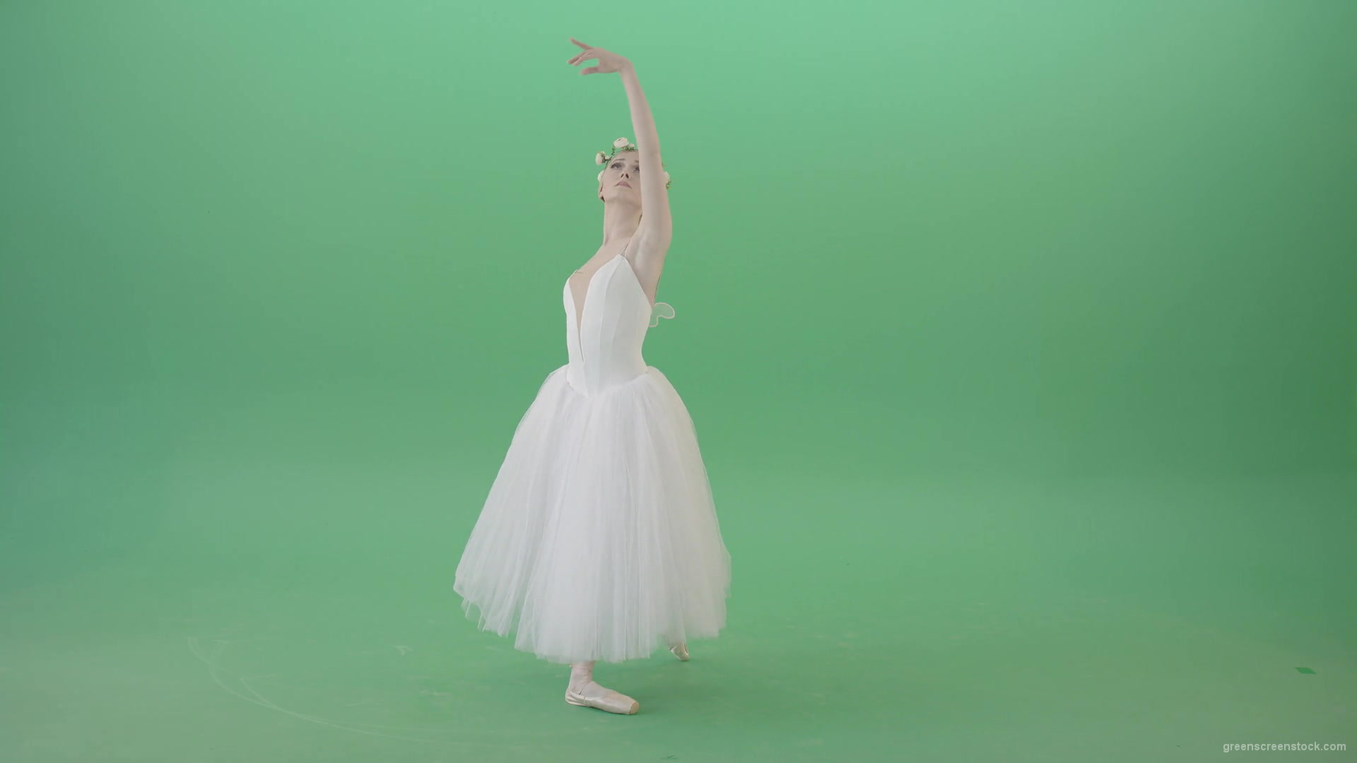 Ballet-Art-Princes-making-royal-regards-in-white-wedding-dress-isolated-on-green-screen-4K-Video-Footage-1920_007 Green Screen Stock