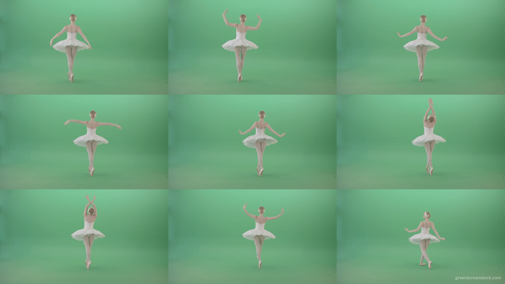 Beautiful-swan-lake-ballet-dance-ballerina-in-back-side-view-dancing-on-green-screen-4K-Video-Footage-1920 Green Screen Stock
