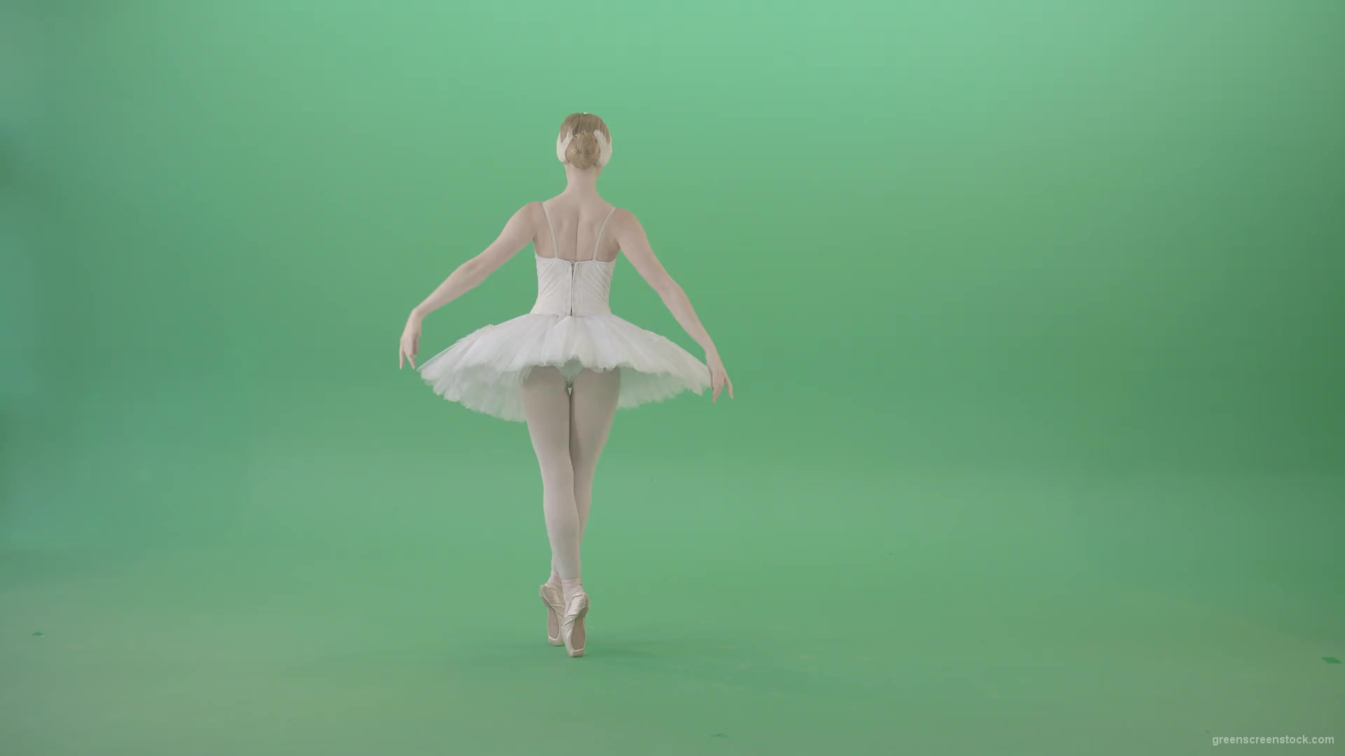 Beautiful-swan-lake-ballet-dance-ballerina-in-back-side-view-dancing-on-green-screen-4K-Video-Footage-1920_001 Green Screen Stock