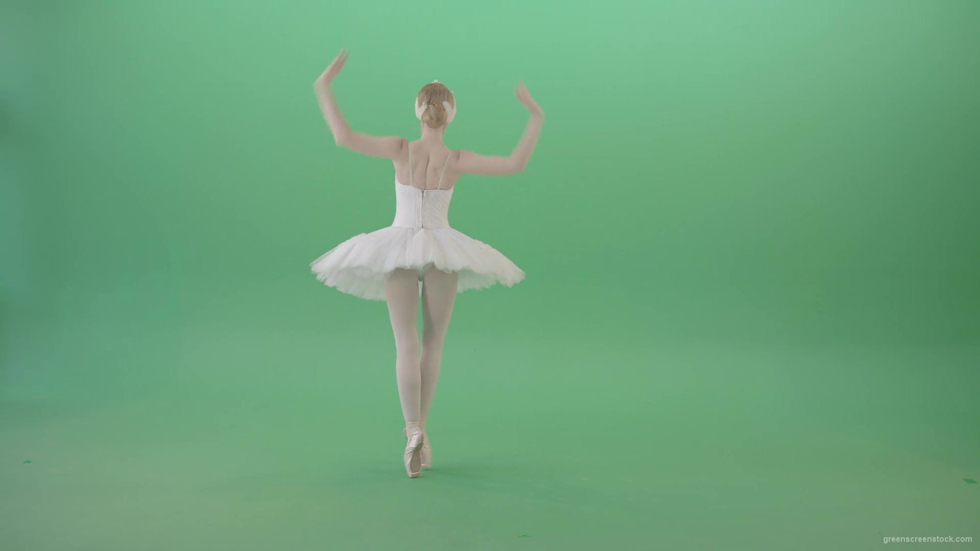 Beautiful-swan-lake-ballet-dance-ballerina-in-back-side-view-dancing-on-green-screen-4K-Video-Footage-1920_002 Green Screen Stock