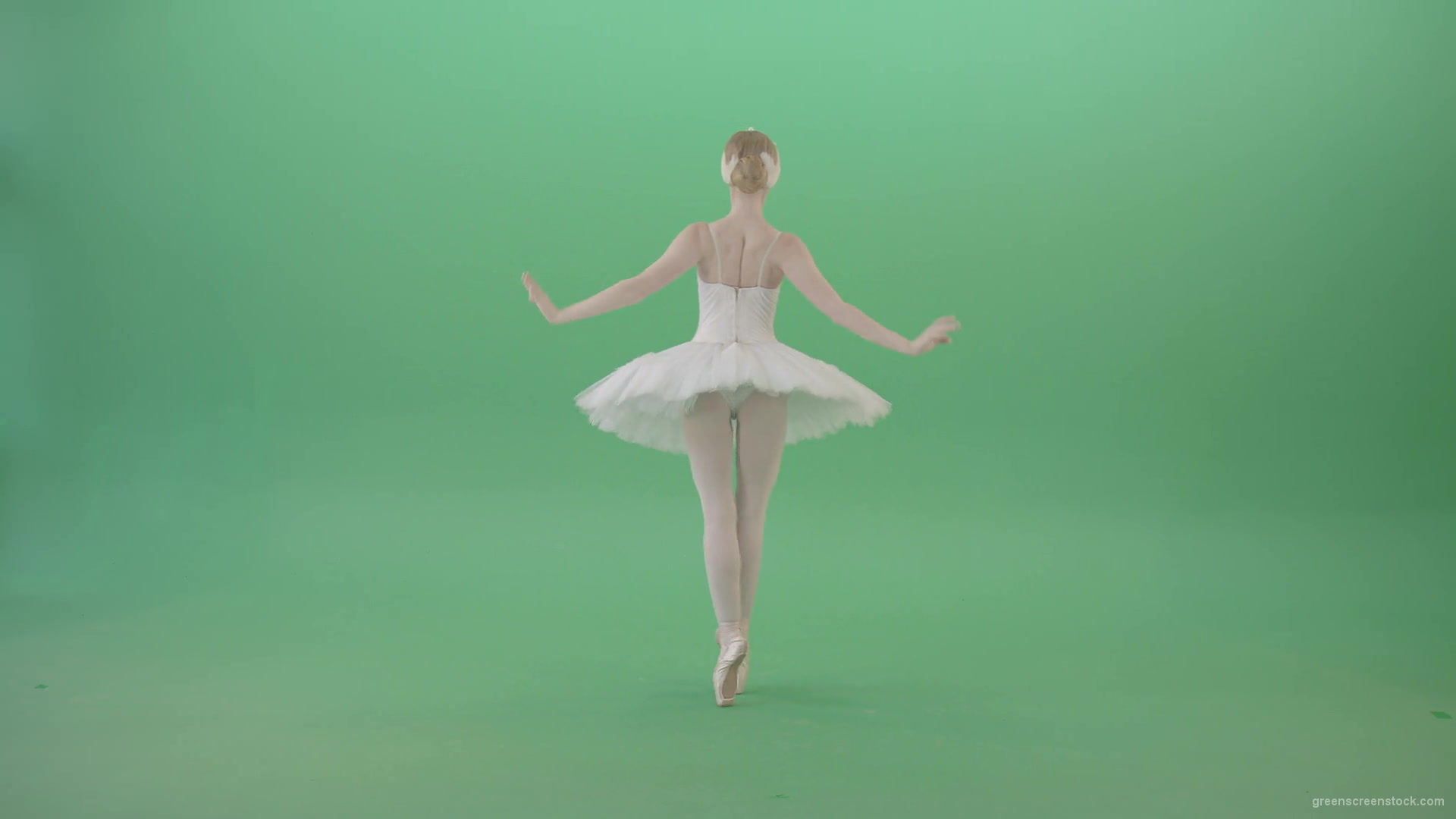 vj video background Beautiful-swan-lake-ballet-dance-ballerina-in-back-side-view-dancing-on-green-screen-4K-Video-Footage-1920_003
