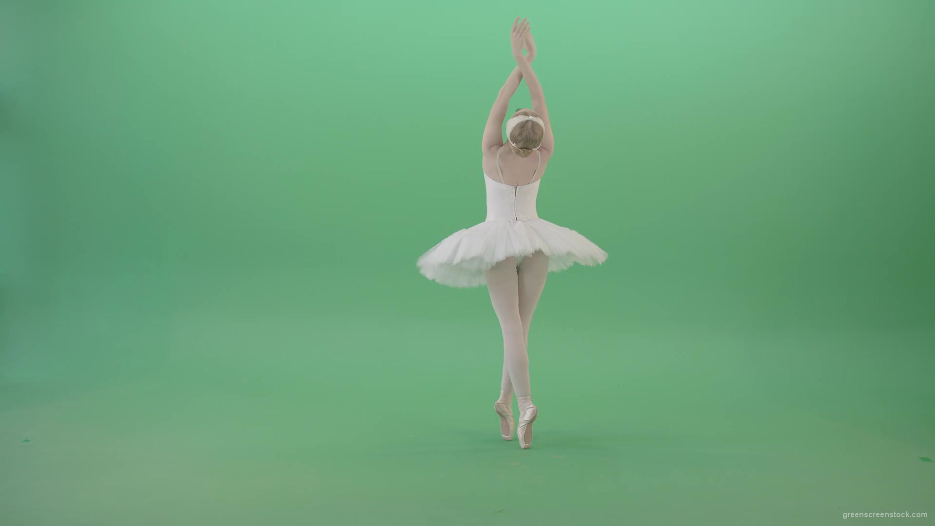 Beautiful-swan-lake-ballet-dance-ballerina-in-back-side-view-dancing-on-green-screen-4K-Video-Footage-1920_006 Green Screen Stock