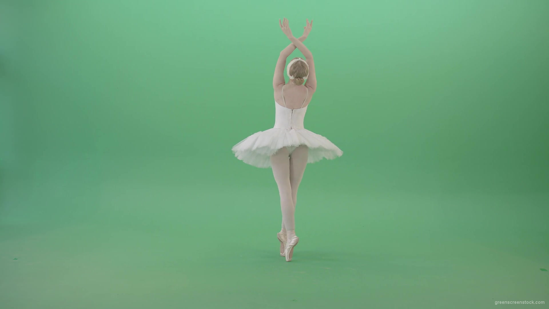 Beautiful-swan-lake-ballet-dance-ballerina-in-back-side-view-dancing-on-green-screen-4K-Video-Footage-1920_007 Green Screen Stock